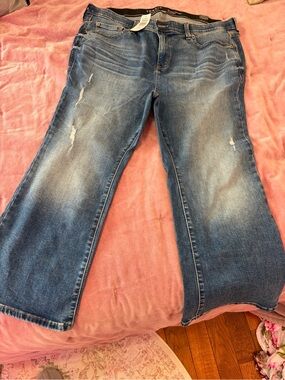 torrid Medium Blue Flared Jeans with Subtle Distress